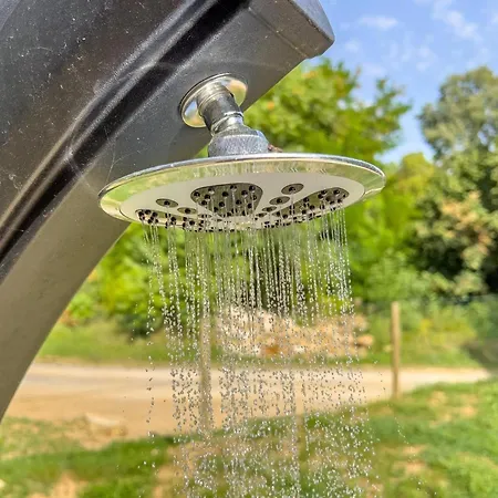 Blanc De Dalt Daire *